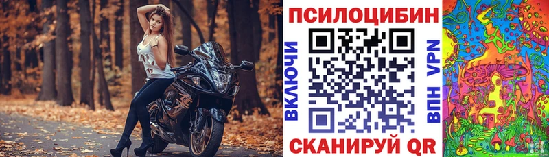 Галлюциногенные грибы прущие грибы  Вичуга 