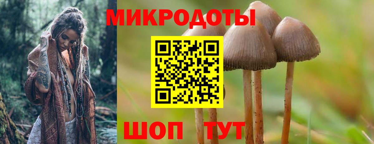 Псилоцибиновые грибы Psilocybe  Псилоцибиновые грибы ЛСД  сколько стоит  Вход с VPN  Вичуга 