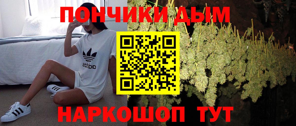 Каннабис OG Kush Вичуга